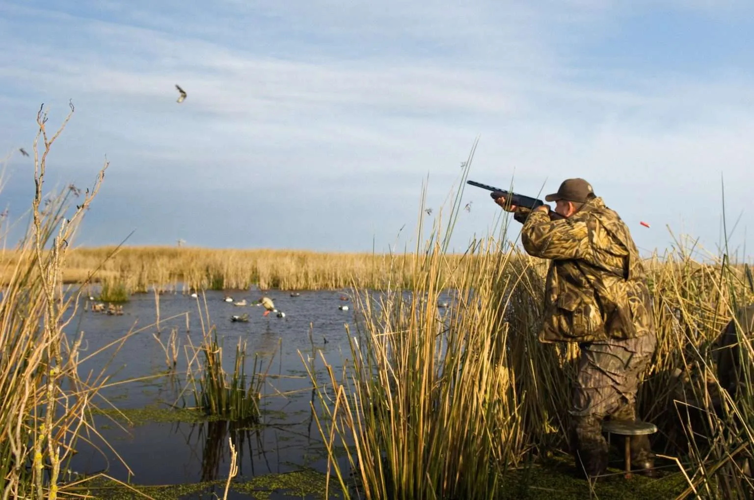 Dyhkmb 1536x1020 jpg — Duck Hunting application