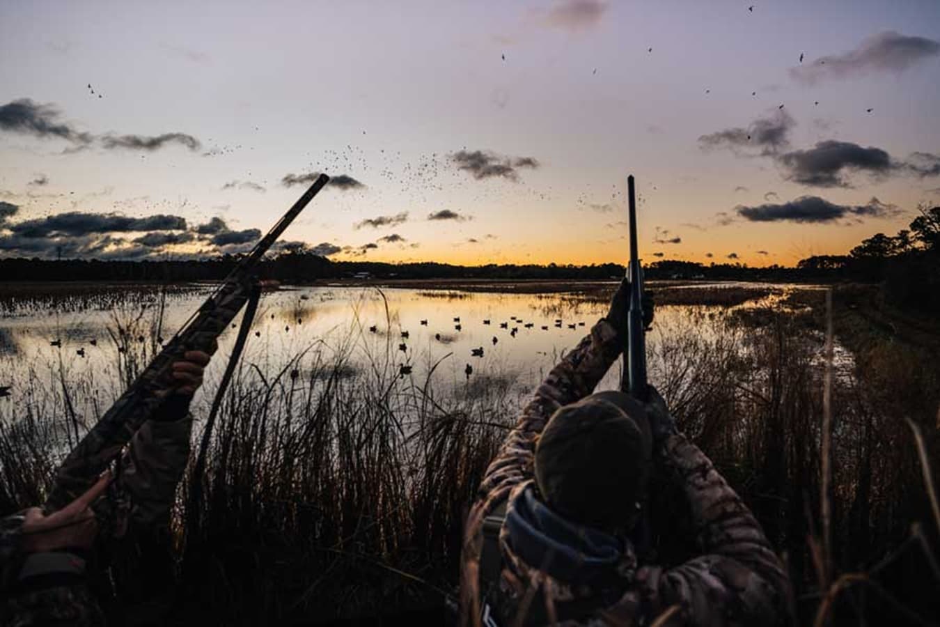 Ggopen — Duck Hunting application