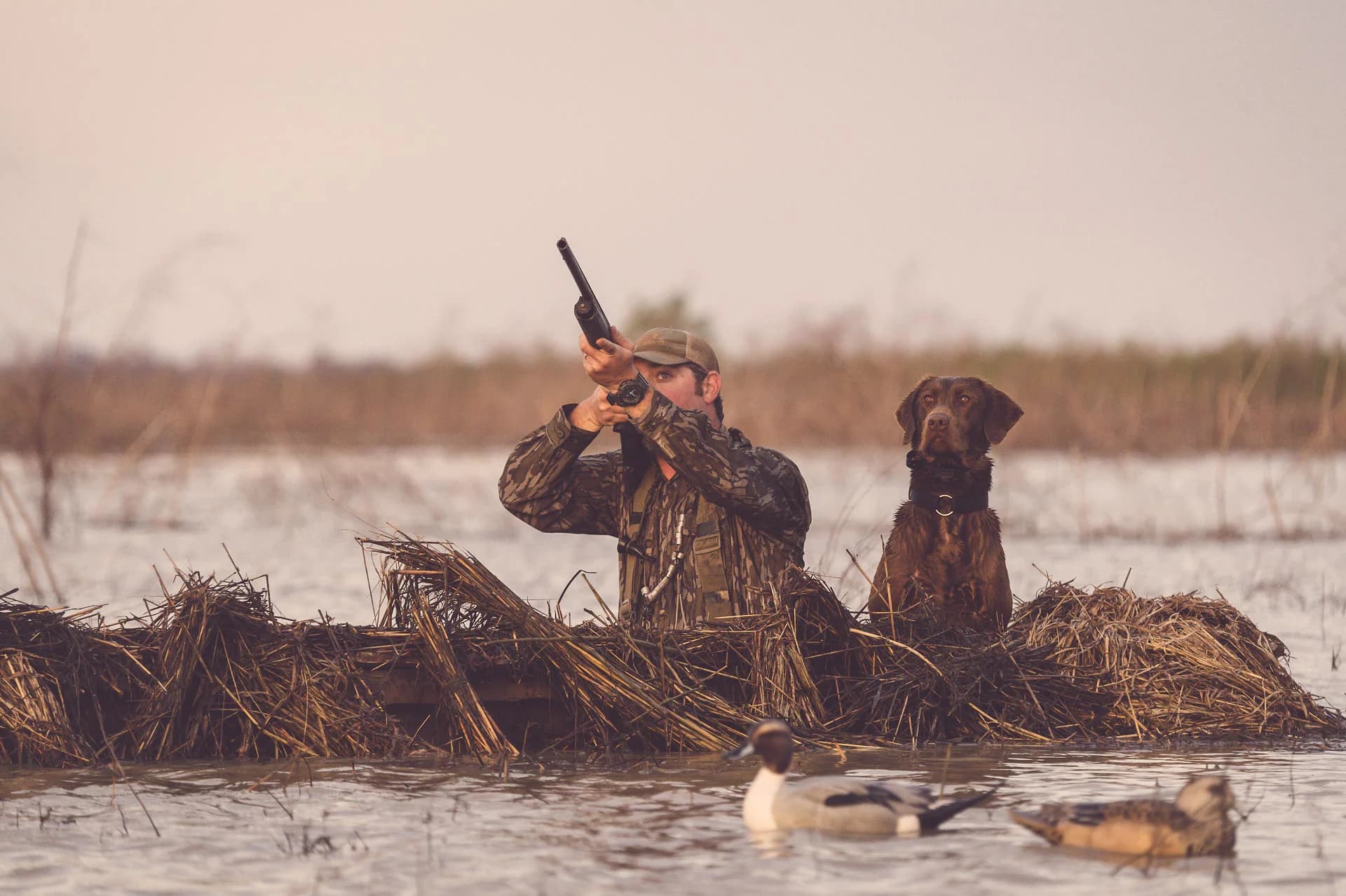 Honey brake duck unlimited 2 7 — Duck Hunting application