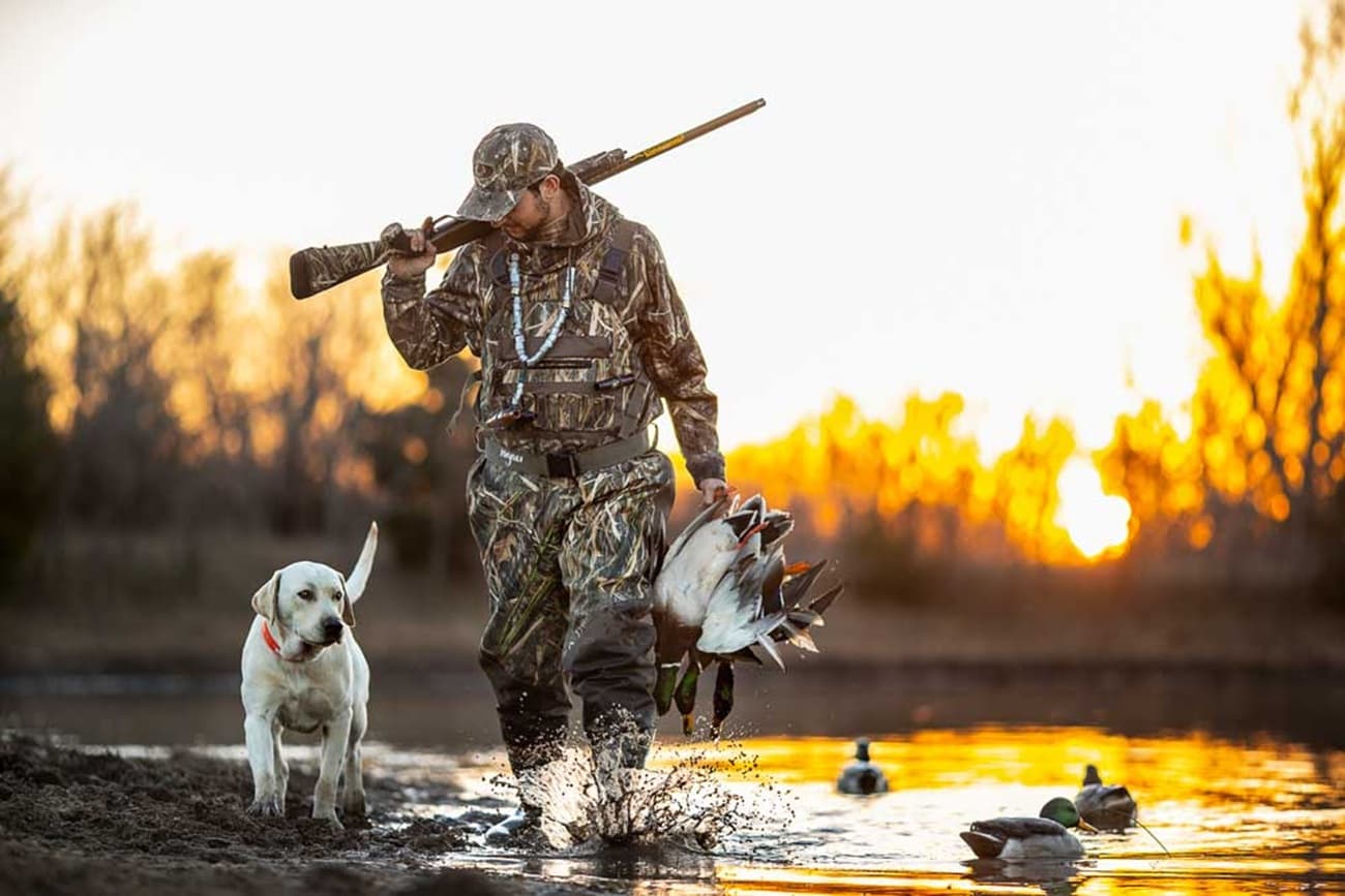 Late season mallards — Duck Hunting application