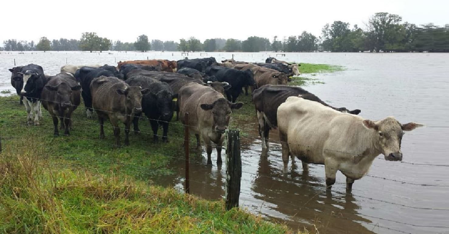 3x2 940x627 stretched — Ranch application